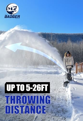 Wild Badger Power 40V 20-Inch Brushless Cordless Electric Snow Blower