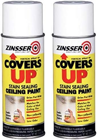 Zinnser 03688 Covers Up Stain Sealing Ceiling Paint, White (Pack of 6)