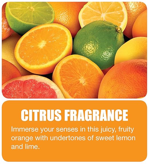 Big D 337 Pheno D + Disinfectant & Deodorant no Fogger as per EPA Citrus Fragrance, 16.5 oz (Pack of 12) - Kills harmful viruses, bacteria, fungi, mold, mildew - Ideal for schools, gyms, healthcare facilities