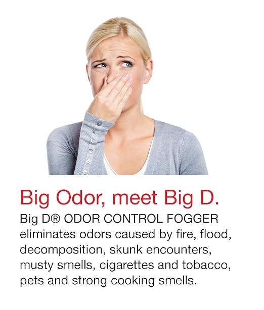Big D 342 Odor Control Fogger, Cinnamon Fragrance, 5 oz (Pack of 12) - Kills odors from fire, flood, decomposition, skunk, cigarettes, musty smells - Ideal for use in cars, property management, hotels