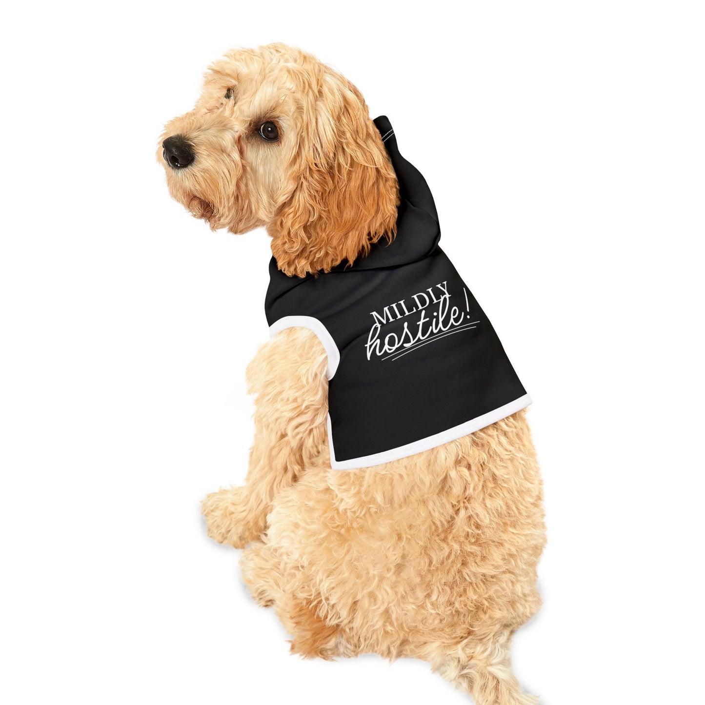 Mildly Hostile Cat Hoodie – Black (Funny Cat Apparel)