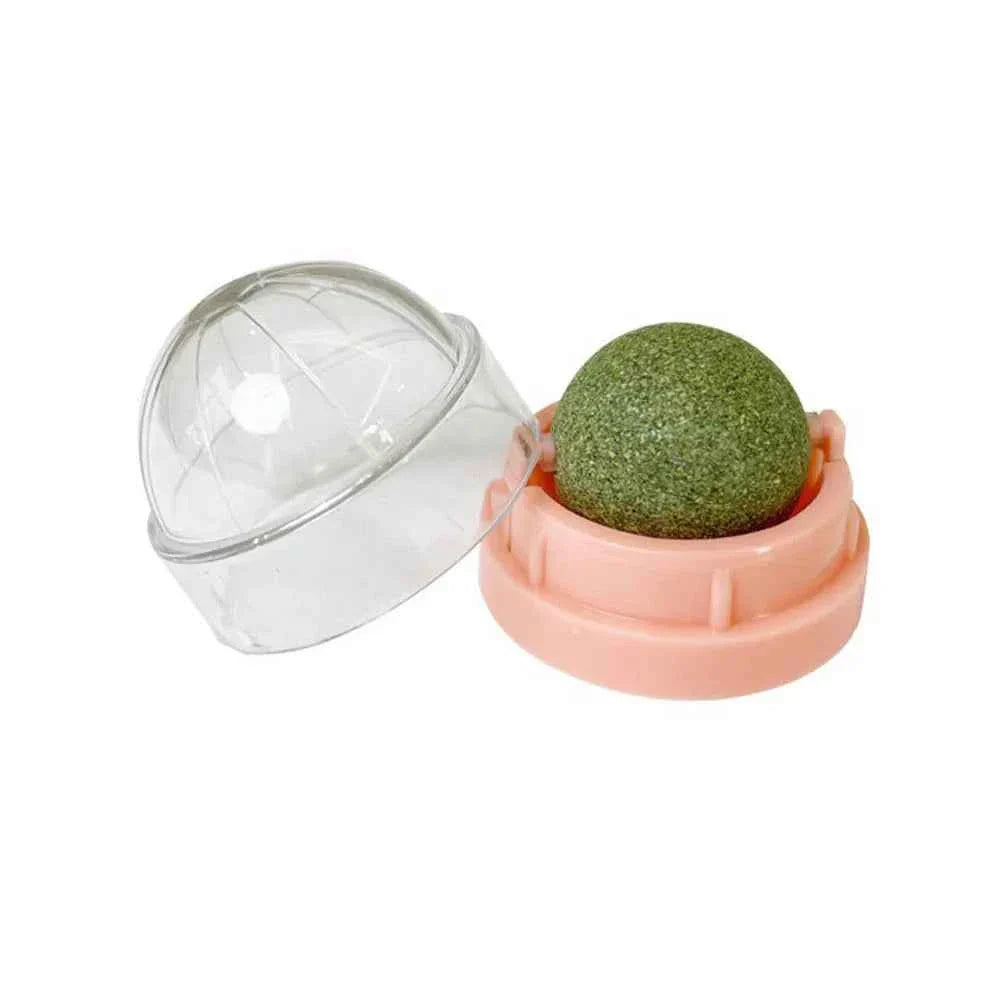 Catnip Wall Ball Treats – Digestive Aid & Fun for Cats