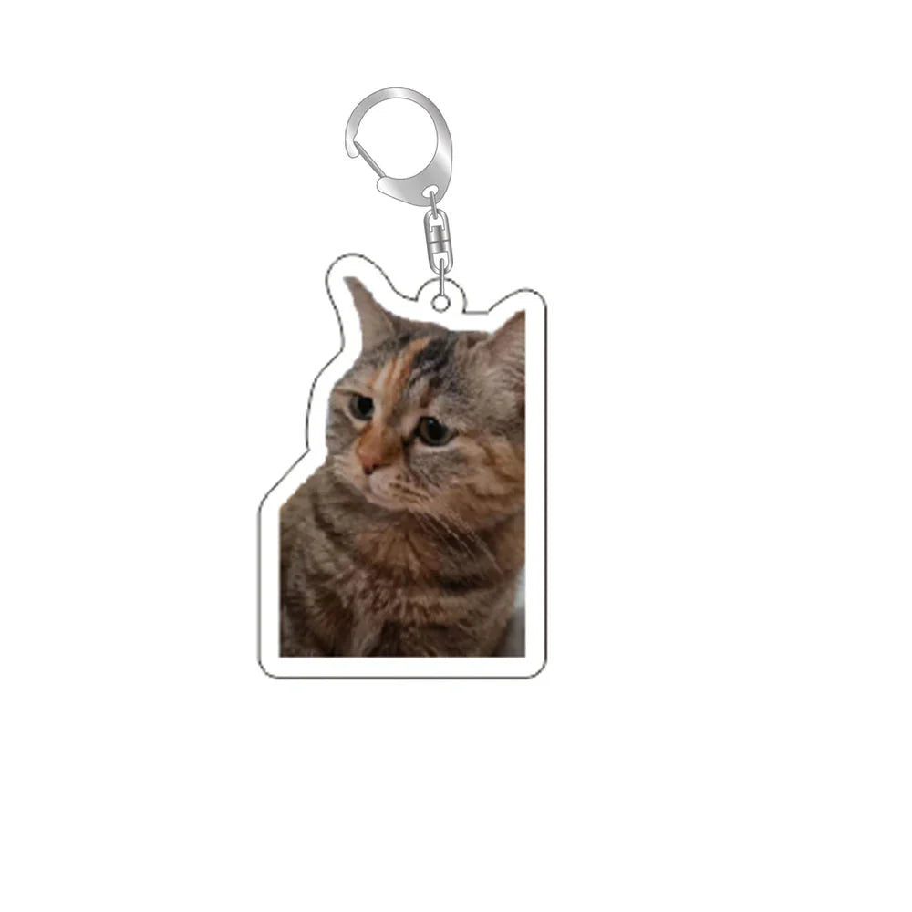 Funny Cat Memes Series Keychain Student Gift Bag Lanyard Women's Bag Pendant Keychain Cute Things Cheap Gift For Best Friends