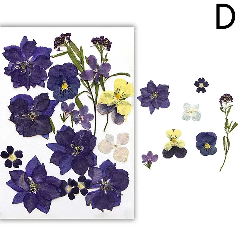 For Fun DIY Embossed Dried Flower Resin Fillings Real Flower for Home Decoration Nail Art Handicrafts Jewelry Making Crafts