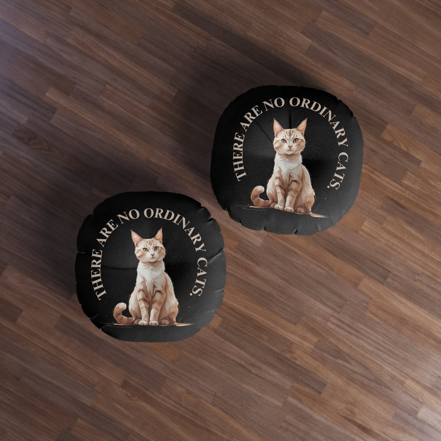 There Are No Ordinary Cats Floor Pillow | Cat Lover Tufted Cushion