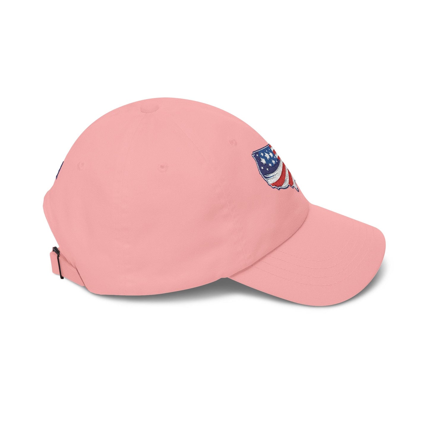 USA Map Embroidered Hat – Patriotic Political Parody Cap