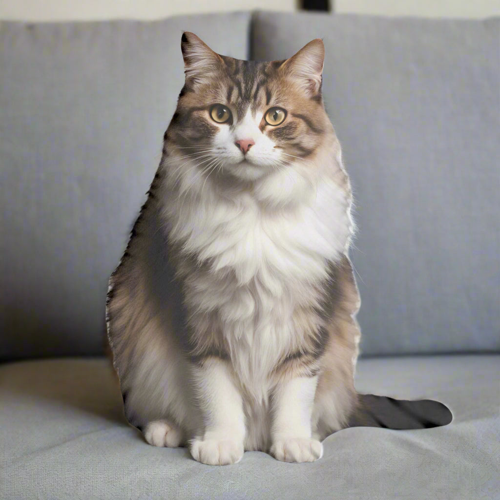 Cat-Shaped Pillows — Soft Sculptures with Personality