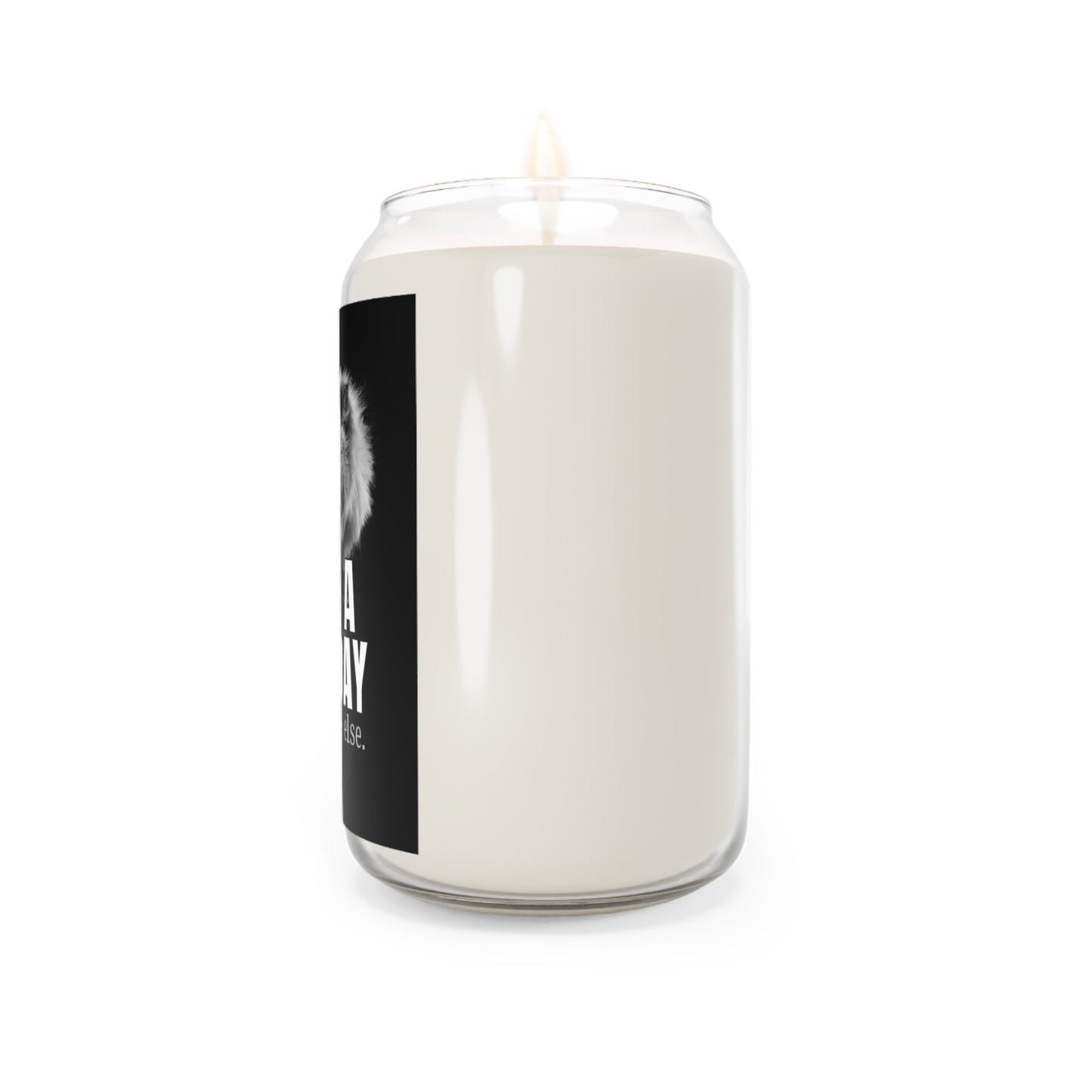 Have a Nice Day Somewhere Else Candle | Funny Cat Soy Candle
