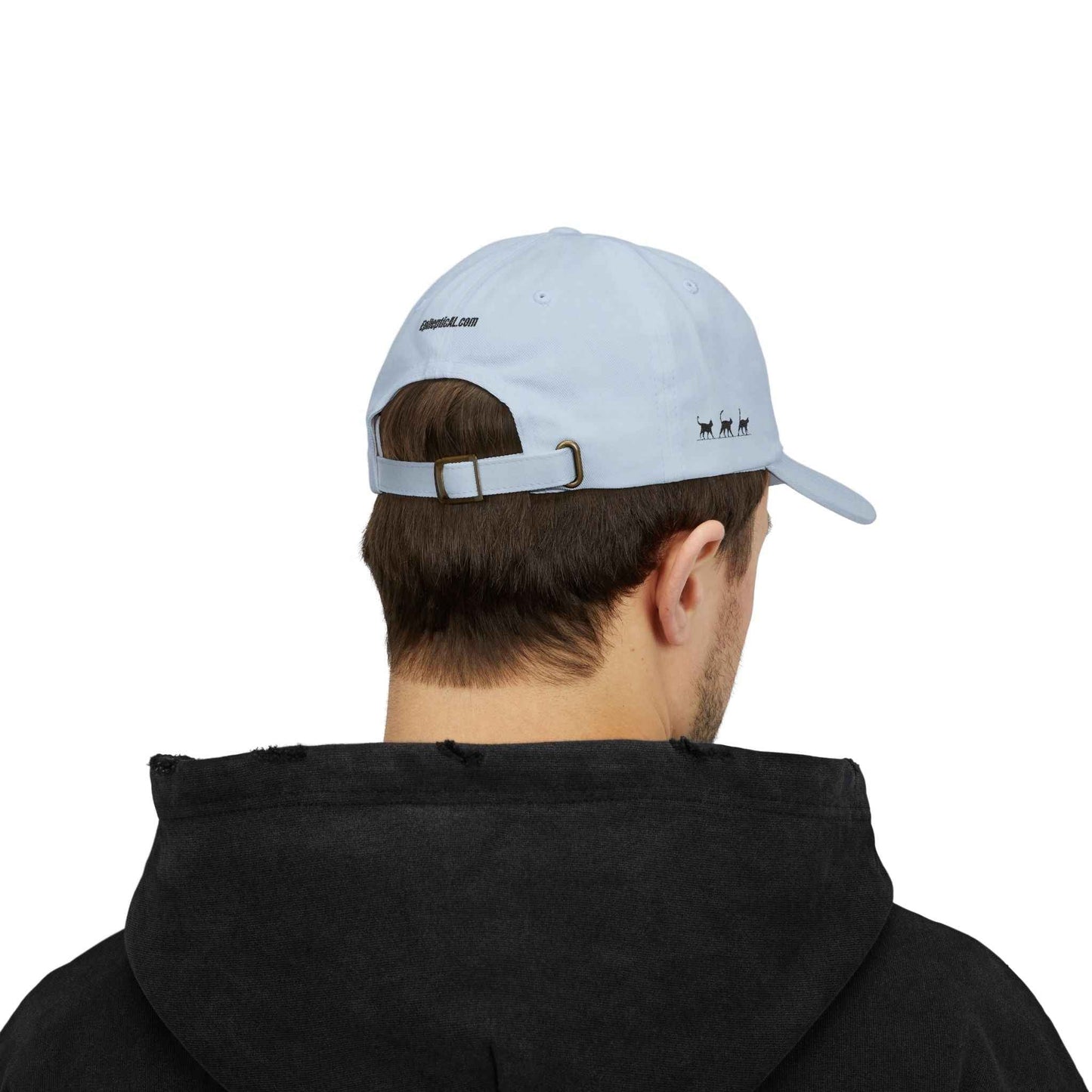 Warning: Pet at Your Own Risk Hat – Sassy Cat Embroidered Dad Cap