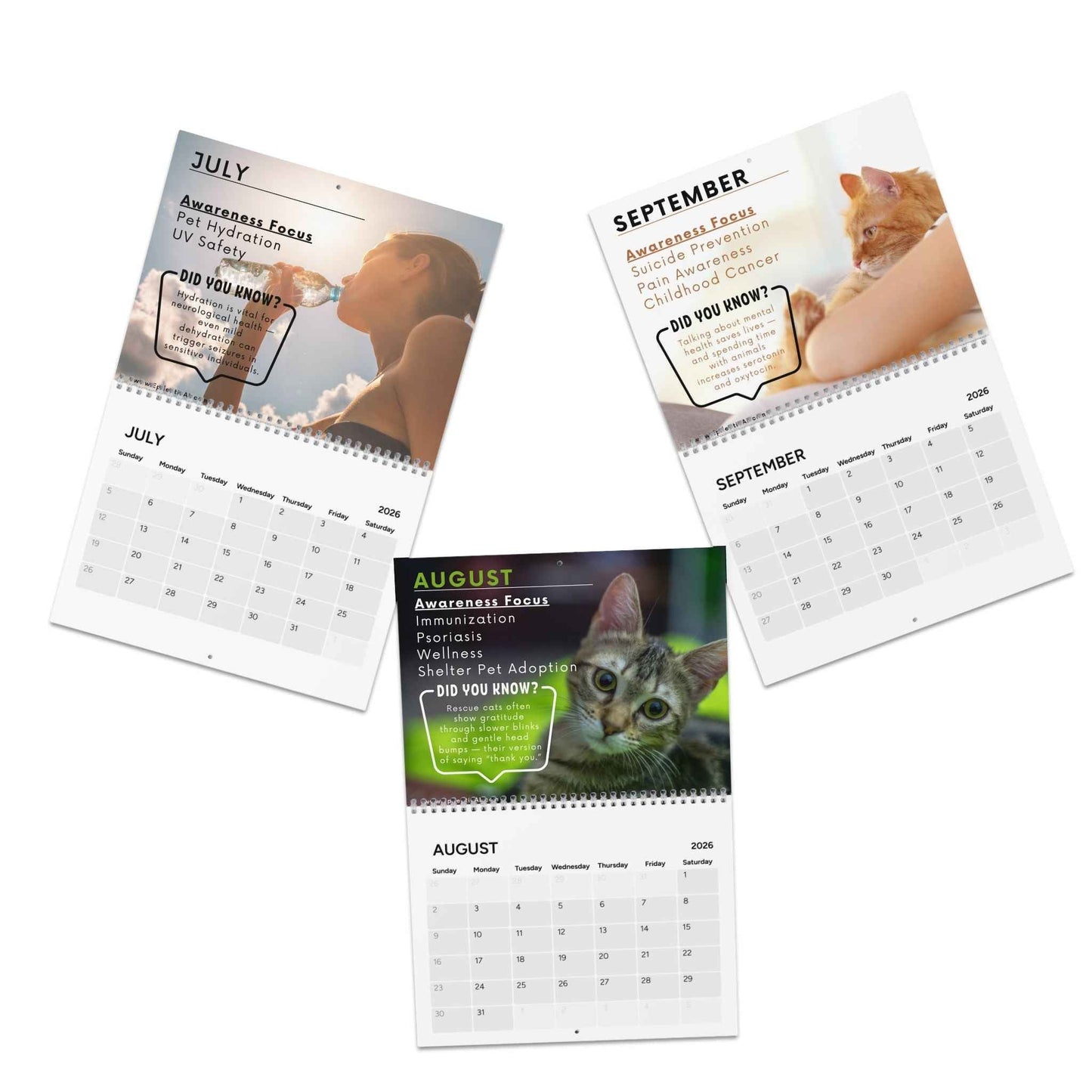 2026 Awareness Calendar: Monthly Inspirational Themes for Wellness & Growth