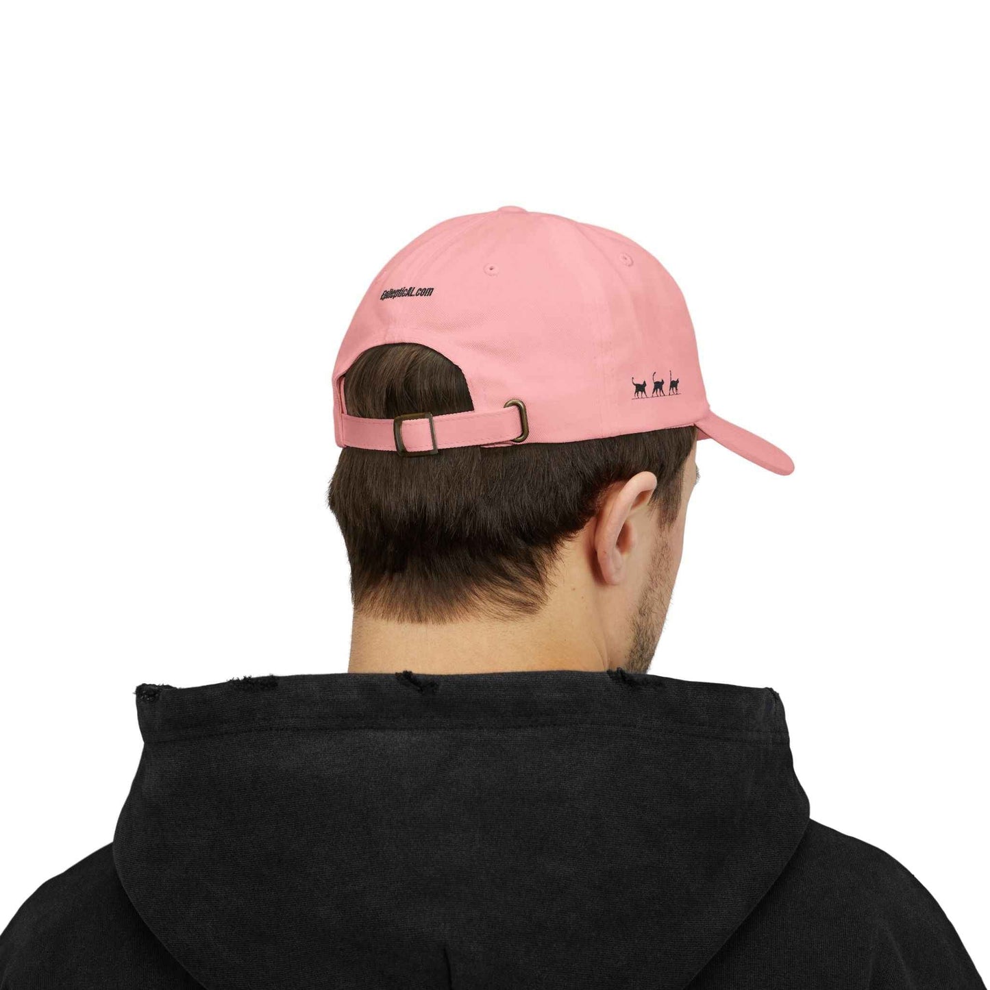 Warning: Pet at Your Own Risk Hat – Sassy Cat Embroidered Dad Cap