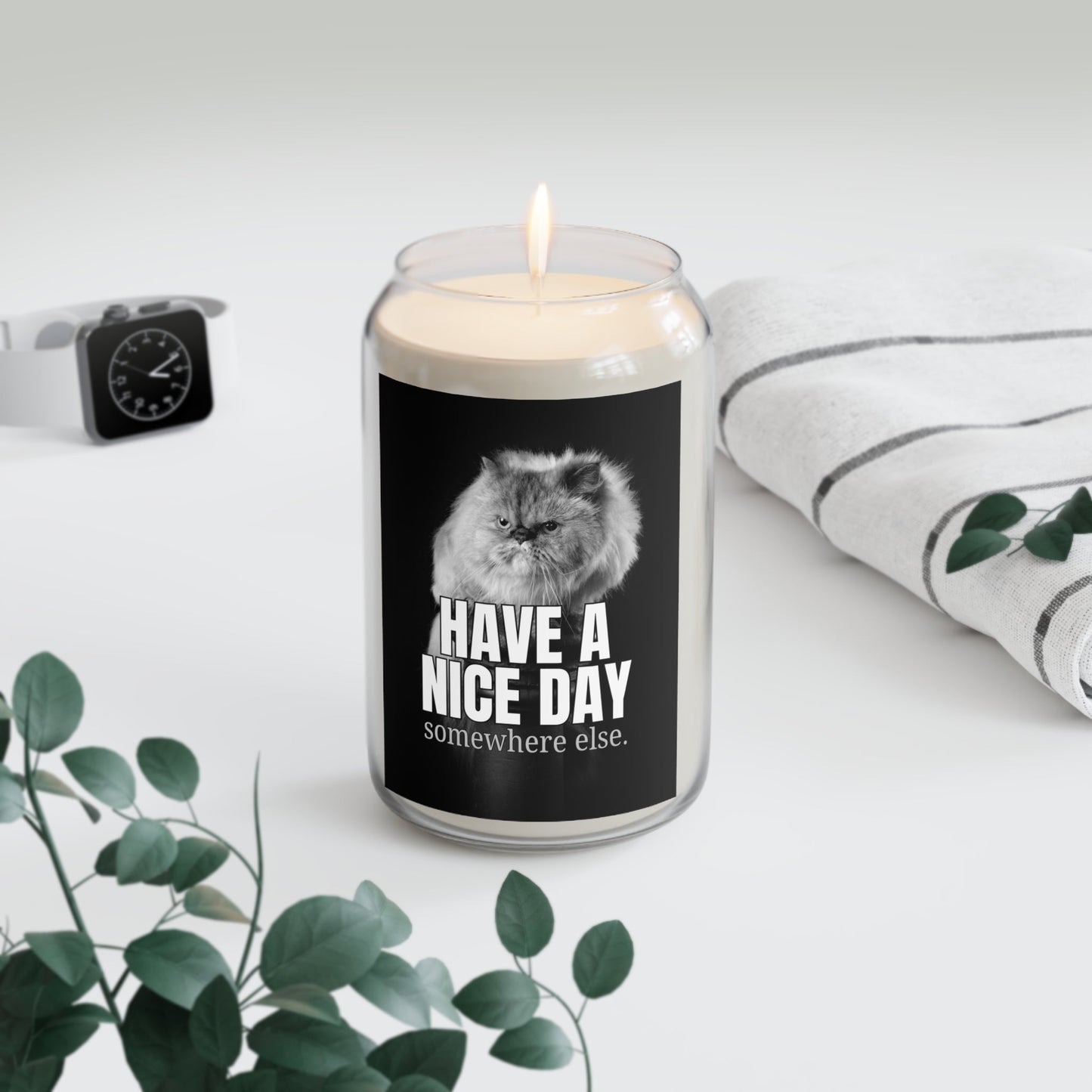 Have a Nice Day Somewhere Else Candle | Funny Cat Soy Candle
