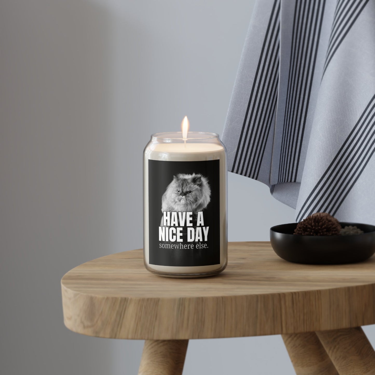 Have a Nice Day Somewhere Else Candle | Funny Cat Soy Candle