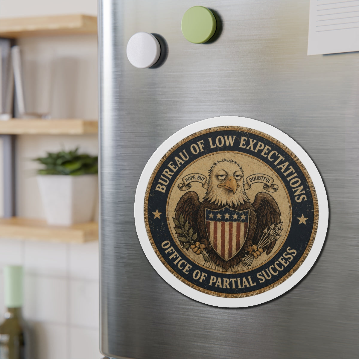 Bureau of Low Expectations Magnet | Office of Partial Success