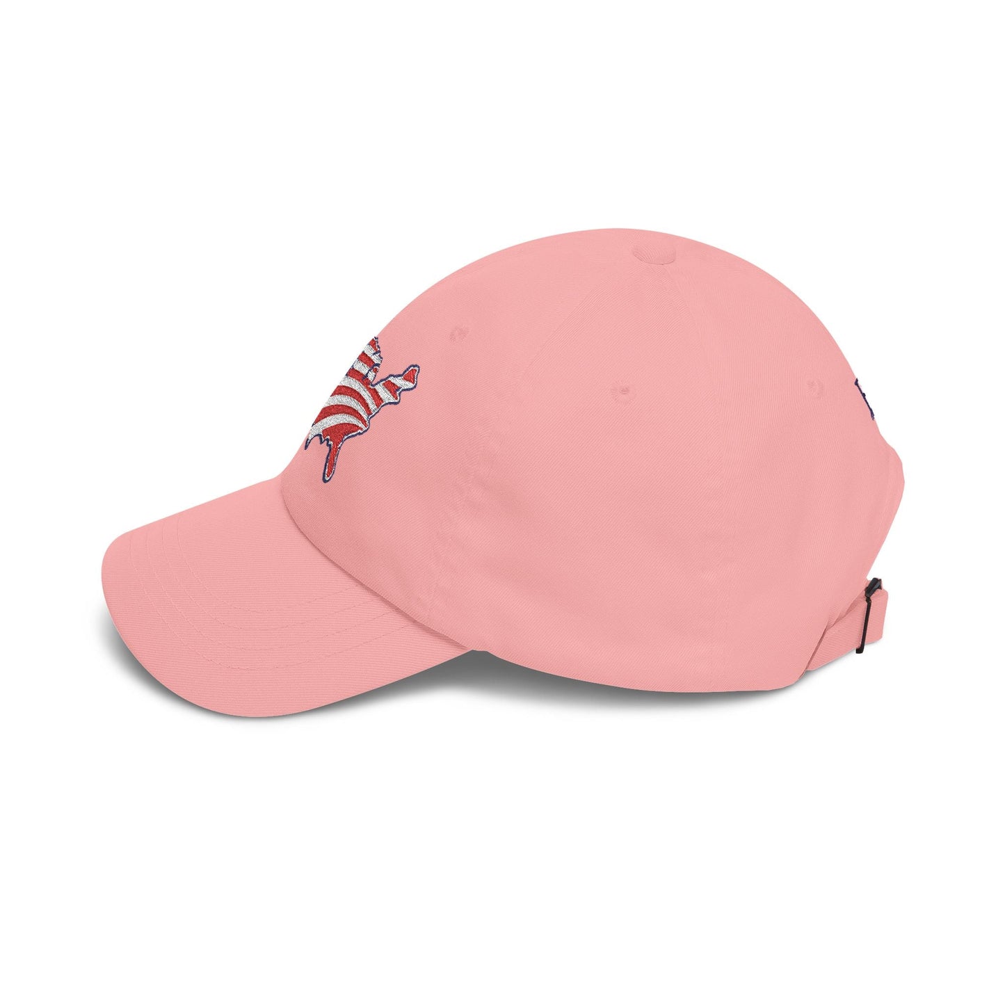 USA Map Embroidered Hat – Patriotic Political Parody Cap