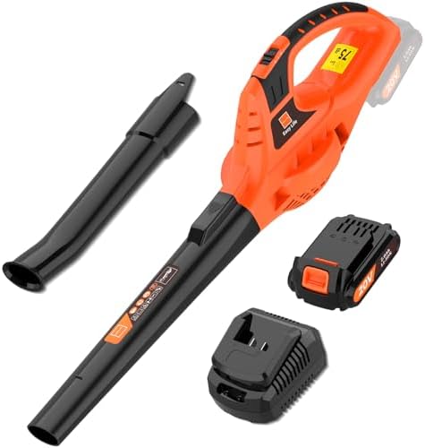 Leisch Life 21V Leaf Blower Cordless | Handheld Electric Lightweight Blower with 2.0Ah Rechargeable Battery & Fast Charger | Adjustable Speeds, Portable Design for Lawn, Patio, Yard, Sidewalk Cleaning