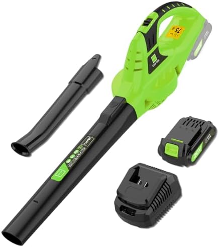 Leisch Life 21V Leaf Blower Cordless | Handheld Electric Lightweight Blower with 2.0Ah Rechargeable Battery & Fast Charger | Adjustable Speeds, Portable Design for Lawn, Patio, Yard, Sidewalk Cleaning