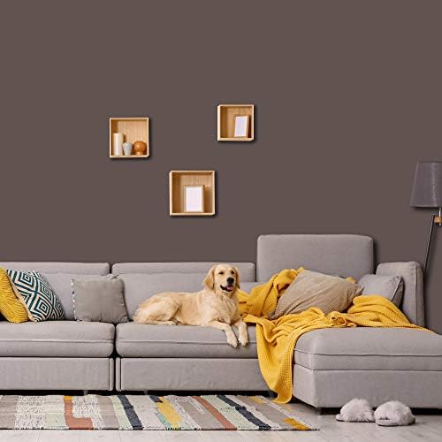 PRESTIGE Interior Paint and Primer in One, Dark Chocolate, Eggshell, 1 Gallon