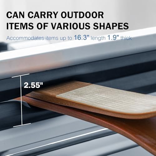 16.3 Inch Car Roof Ski & Snowboard Rack,Fishing Rod Rack, Fits 2 Pairs Skis or 2 Fishing Rods, with Anti-Theft Lock & TPV Rubber Padding, Fits Square/Round/Aero/Oval Cross Bars, Silver