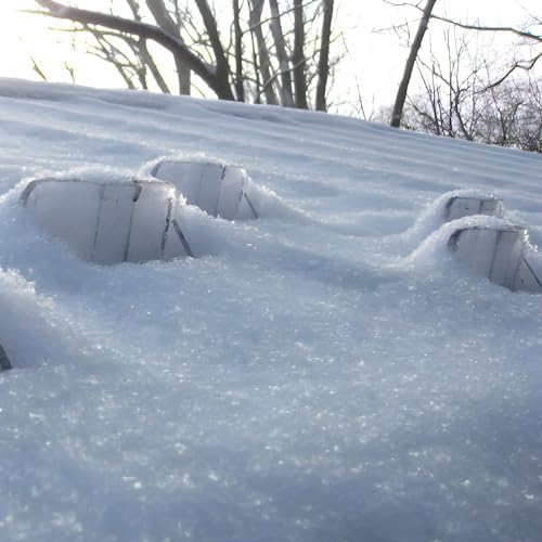 Snow Guards for Metal Roofs 20 Pieces IceJax II (Without Screws or Adhesive)