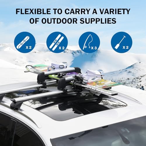 16.3 Inch Car Roof Ski & Snowboard Rack,Fishing Rod Rack, Fits 2 Pairs Skis or 2 Fishing Rods, with Anti-Theft Lock & TPV Rubber Padding, Fits Square/Round/Aero/Oval Cross Bars, Silver