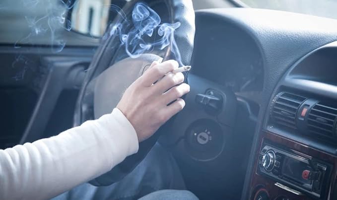 CARPRO SO2Pure 2.0 Odor Eliminator - Neutralize Odors, Cigarette Smoke, Exhaust, Chemical Smell or VOCs, Even Pet Smells from Car Fabric & Plastic, Use on Any Surface, Anywhere - Liter (34oz)