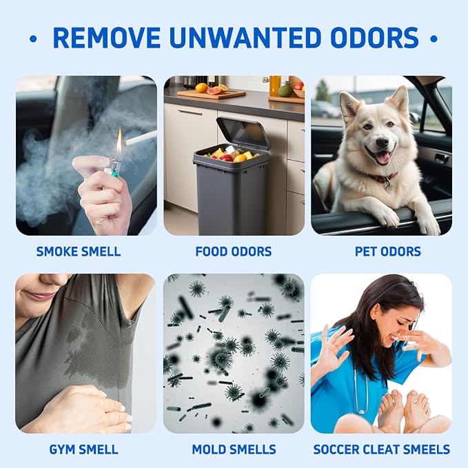 Glodway Car Air Freshener Spray,Deodorizer Odor Eliminator Remover Fogger,Long Lasting Magnolia Scent,6 Ounce(Pack of 3)