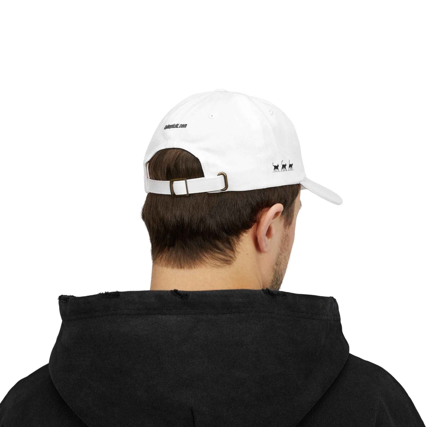 Warning: Pet at Your Own Risk Hat – Sassy Cat Embroidered Dad Cap