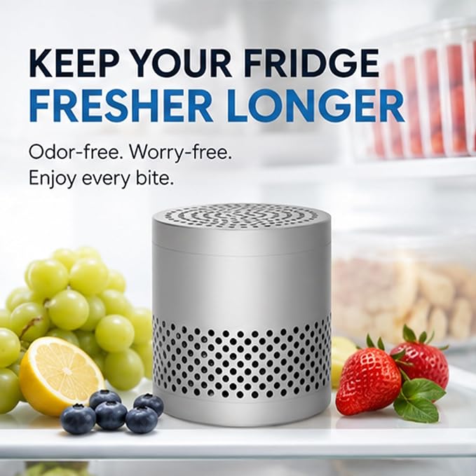 Fridge Deodorizer Odor Eliminator – Reusable Refrigerator Freshener, 10-Year Catalytic Air Purifier for Freezer Closet, Outperforms Baking Soda & Charcoal (Silver, 2.79 inches)