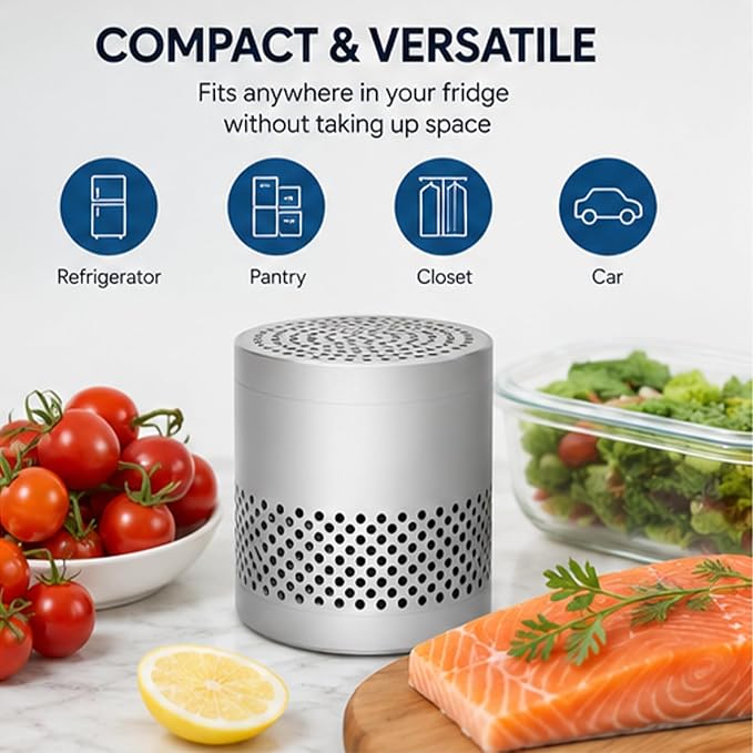 Fridge Deodorizer Odor Eliminator – Reusable Refrigerator Freshener, 10-Year Catalytic Air Purifier for Freezer Closet, Outperforms Baking Soda & Charcoal (Silver, 2.79 inches)