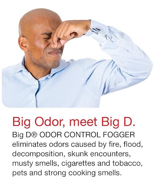 Big D 374 Odor Control Fogger, Mango Bay Fragrance, 5 oz (Pack of 12)