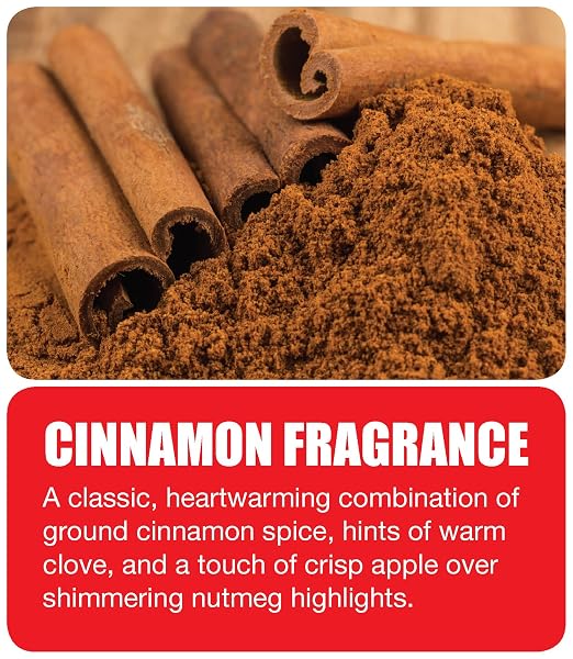 Big D 342 Odor Control Fogger, Cinnamon Fragrance, 5 oz (Pack of 12) - Kills odors from fire, flood, decomposition, skunk, cigarettes, musty smells - Ideal for use in cars, property management, hotels