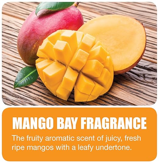 Big D 374 Odor Control Fogger, Mango Bay Fragrance, 5 oz (Pack of 12)