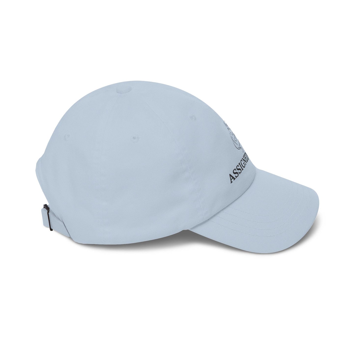 Assigned Human Dad Hat – Soft Cotton Adjustable Cap