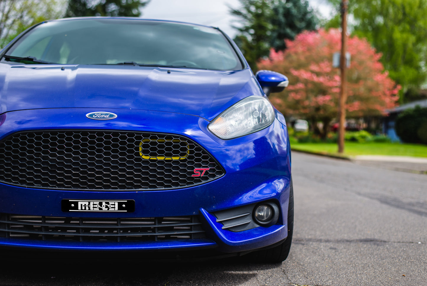 Ford MeLe Plate Delete