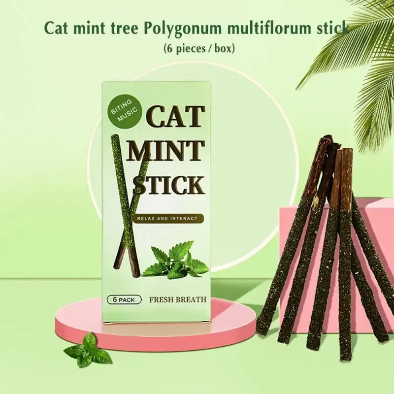 6PCS Natural Matatabi Cat Sticks – Silvervine Teeth Cleaning Treat & Cat Chew Toy