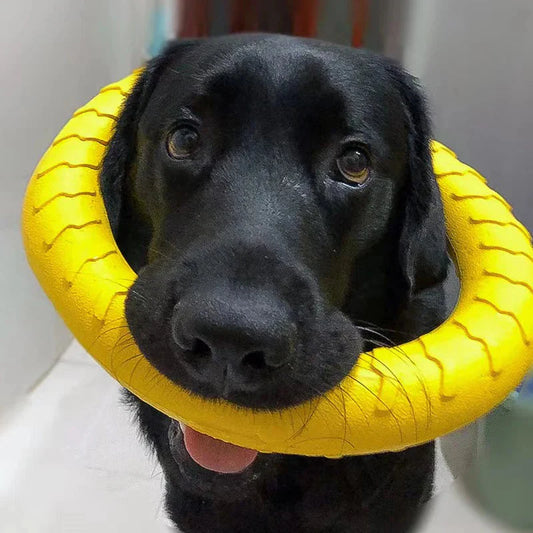 Durable Dog Ring Toy – Indestructible Flying & Chewing Training Toy