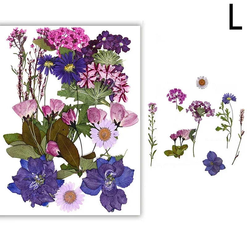 For Fun DIY Embossed Dried Flower Resin Fillings Real Flower for Home Decoration Nail Art Handicrafts Jewelry Making Crafts