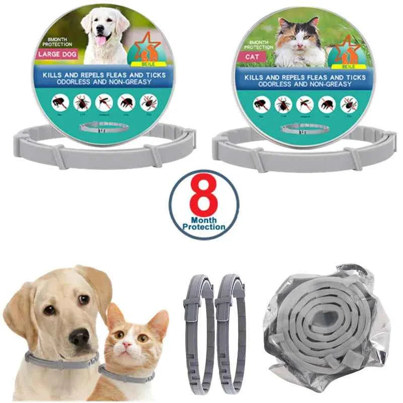 LED Pet Dog Collar for Night Safety | Bright USB Rechargeable