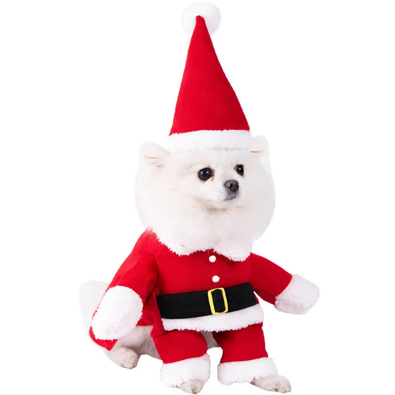 Halloween Dagger Pet Costume - Funny Knife-Holding Dog & Cat Standing Dress for Festival Dress-Up
