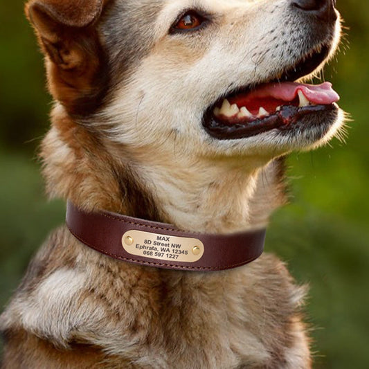 Genuine Leather Cow Leather Engraved Anti Loss Dog Collar