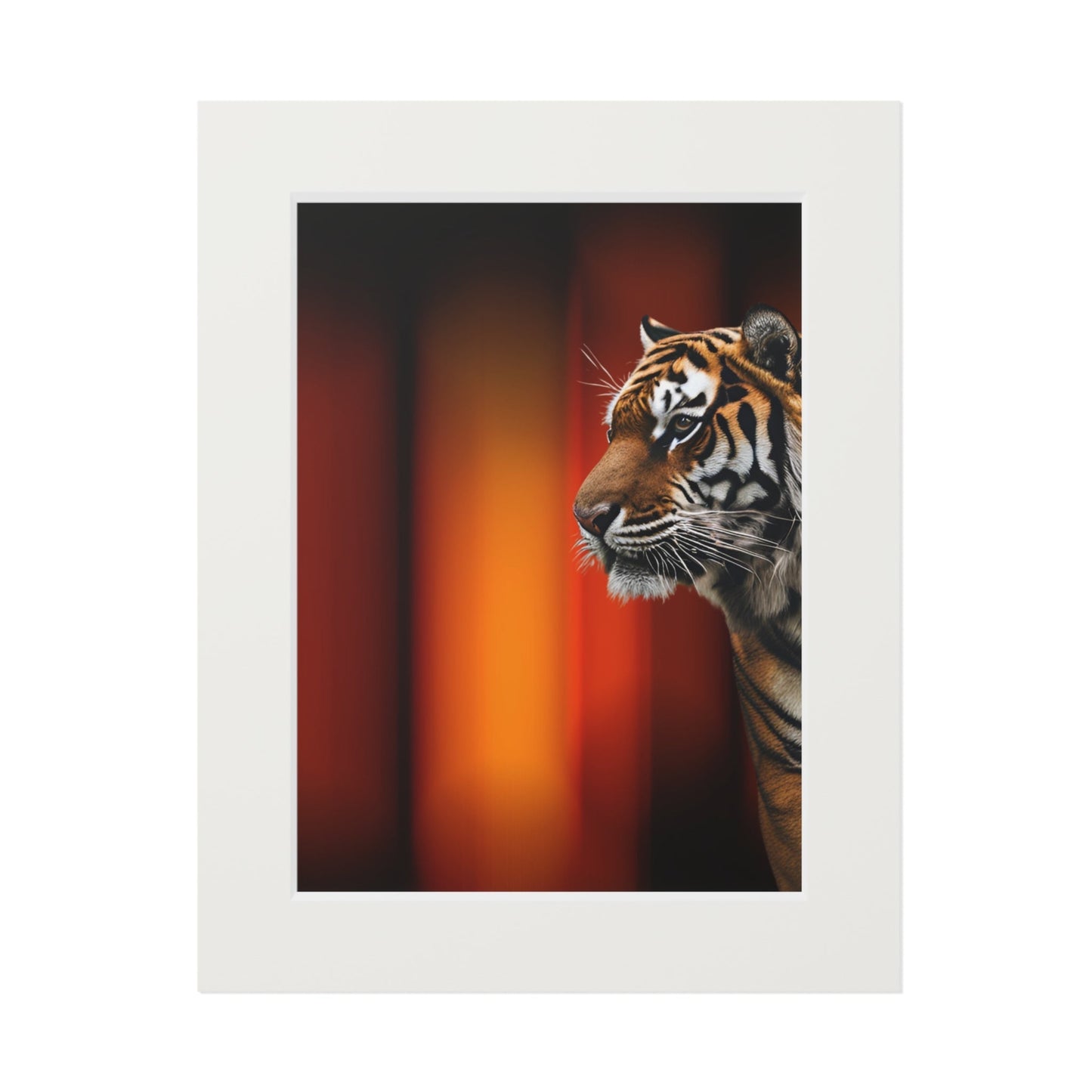 Beautiful Tiger Fine Art Print with Passepartout Frame