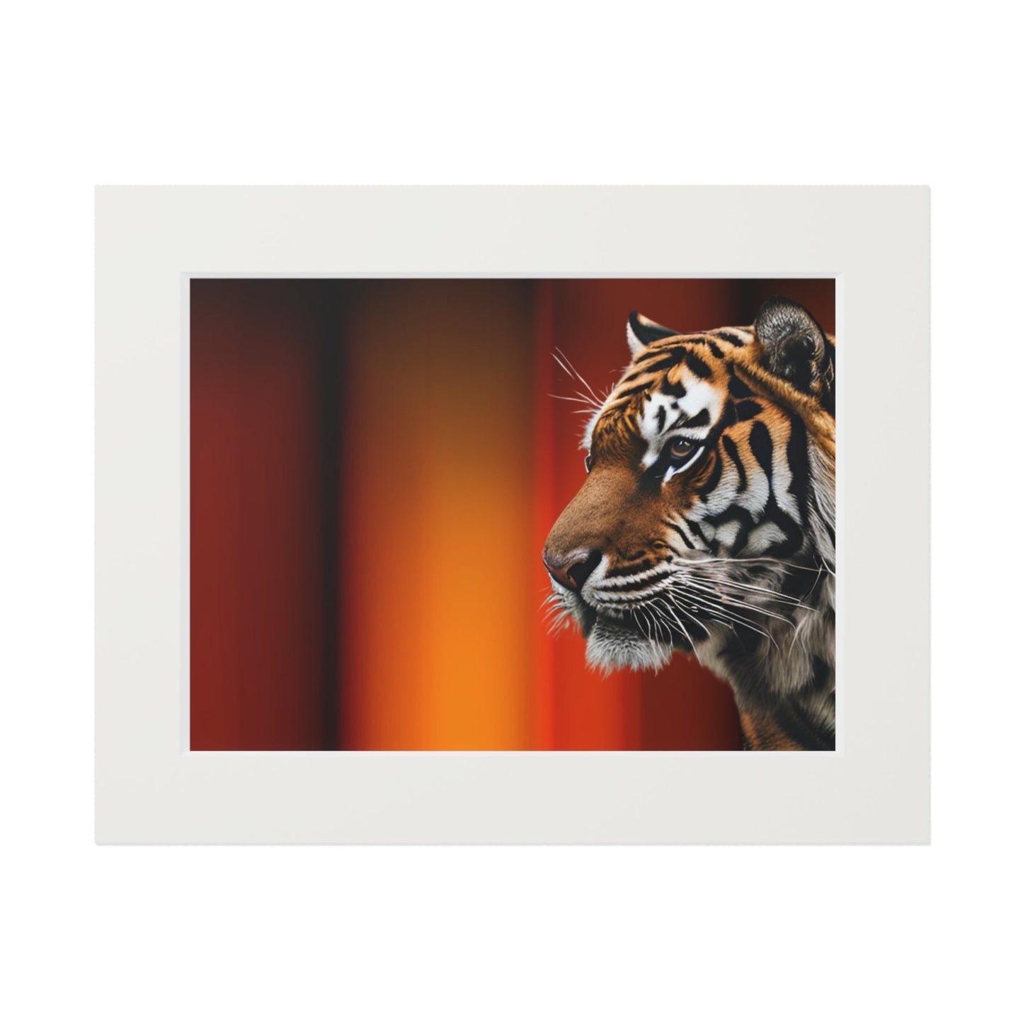Beautiful Tiger Fine Art Print with Passepartout Frame