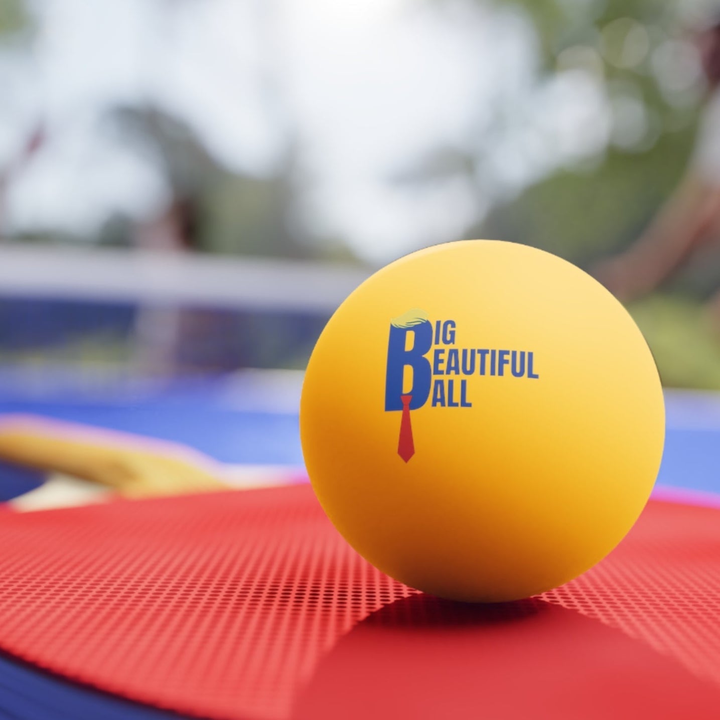 Big Beautiful Ball Ping-Pong Gift Set