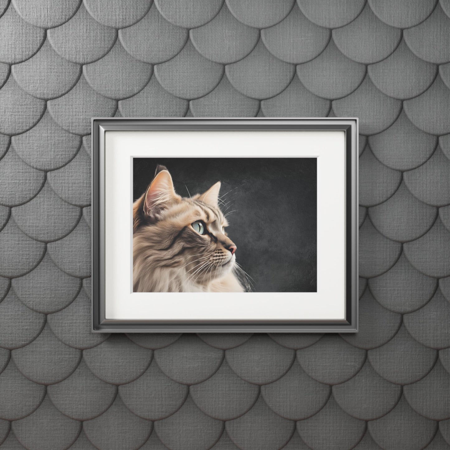 Gray Kitty Fine Art Print with Passepartout Frame