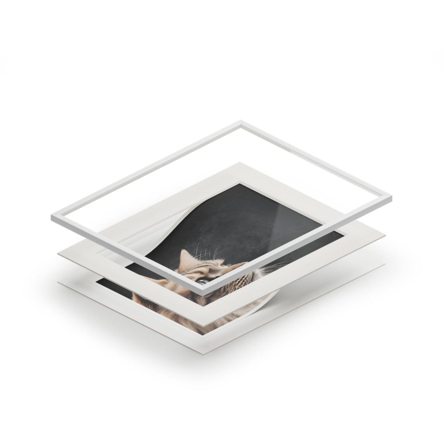 Gray Kitty Fine Art Print with Passepartout Frame