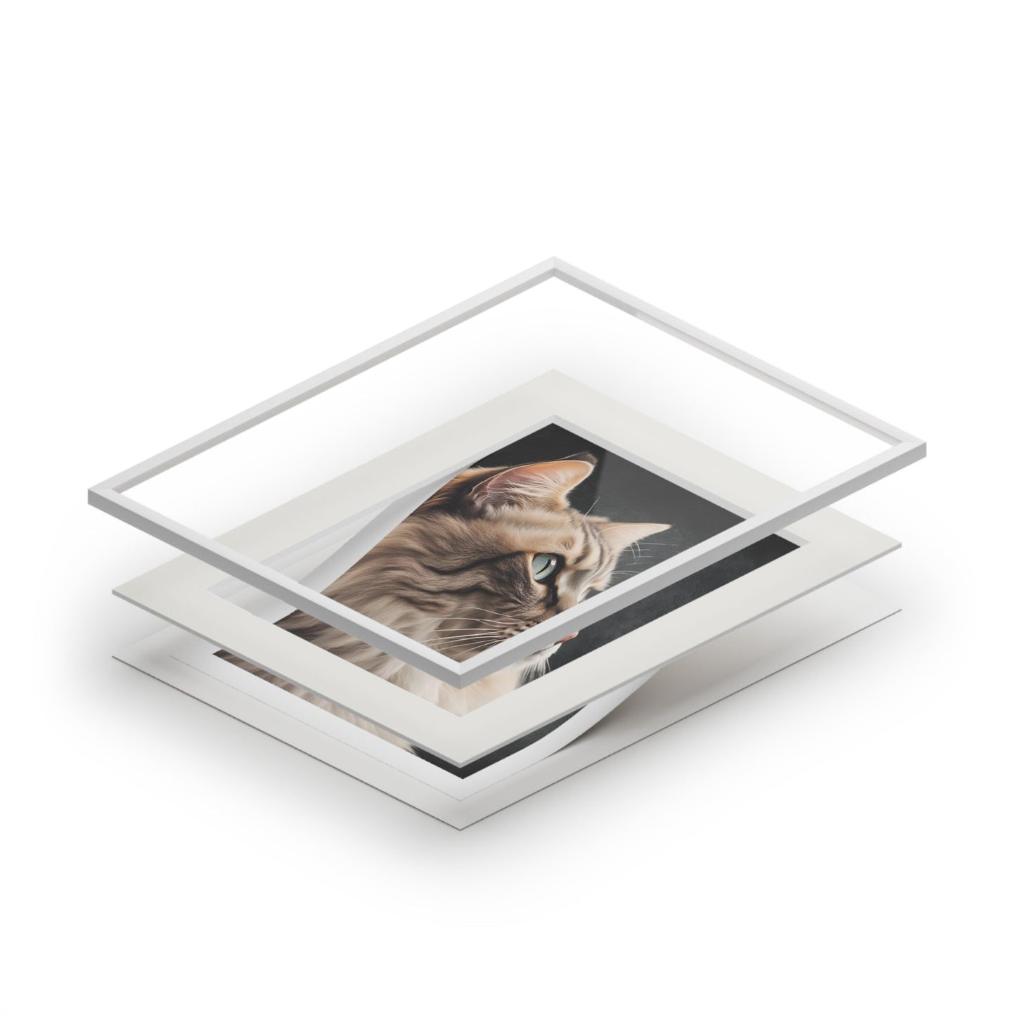 Gray Kitty Fine Art Print with Passepartout Frame