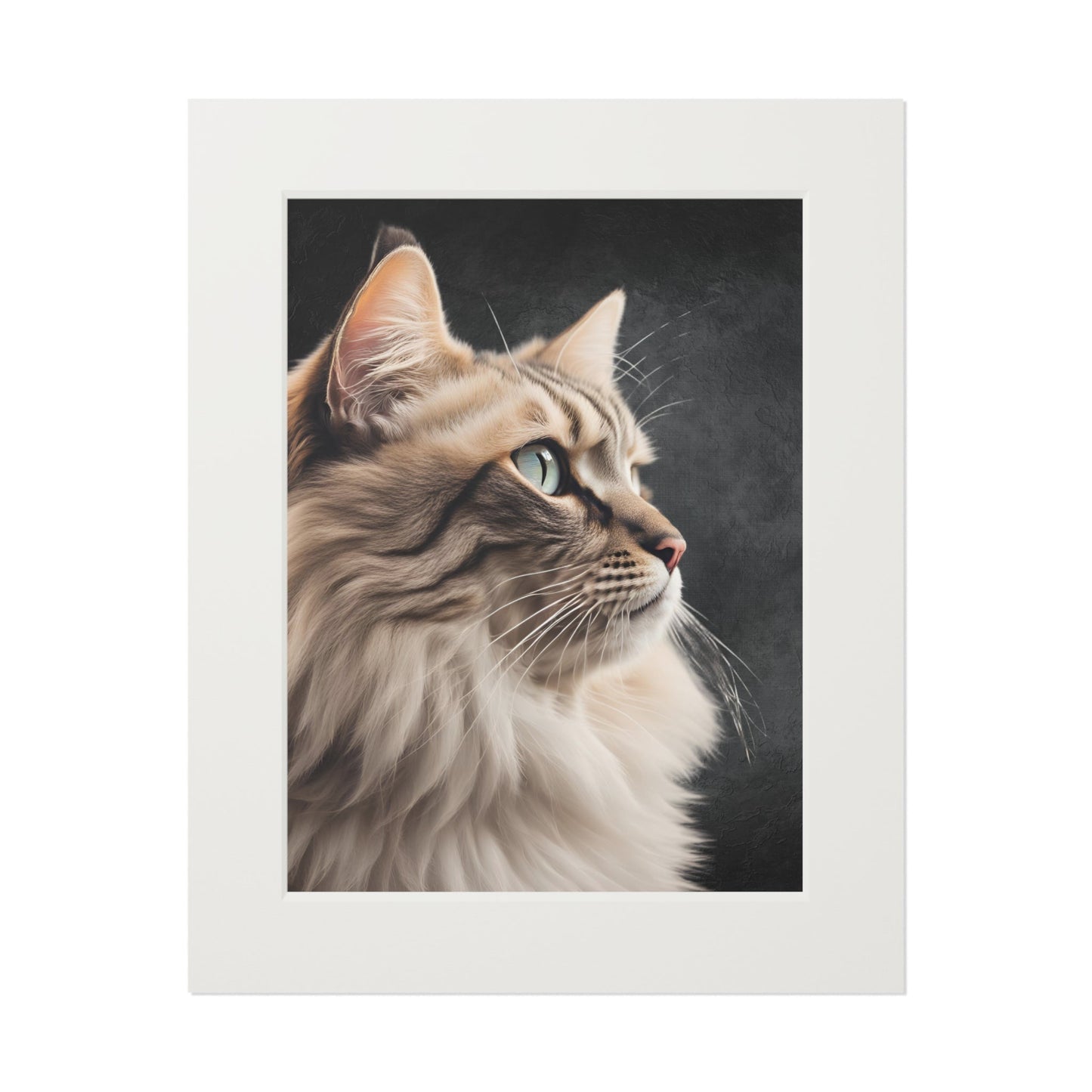 Gray Kitty Fine Art Print with Passepartout Frame