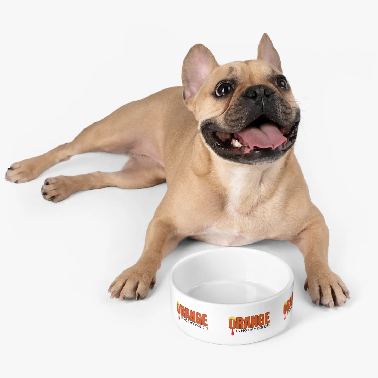 Orange Is Not My Color Pet Bowl | Funny Cat & Dog Food Bowl