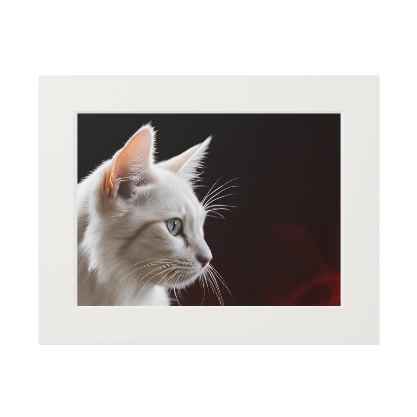 Wonderful White Cat Fine Art Print with Passepartout Frame